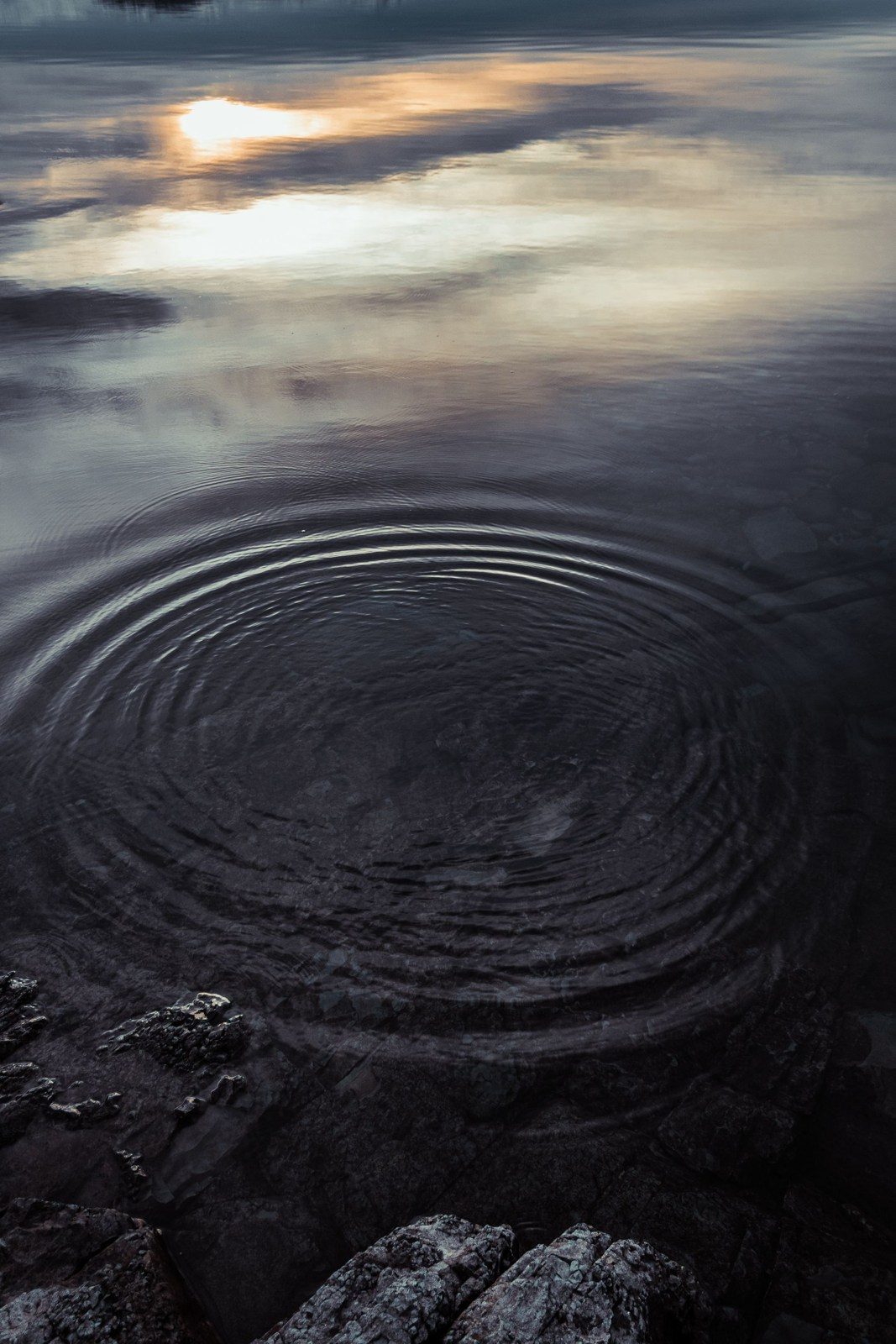 Concentric ripples spreading across still water at dusk