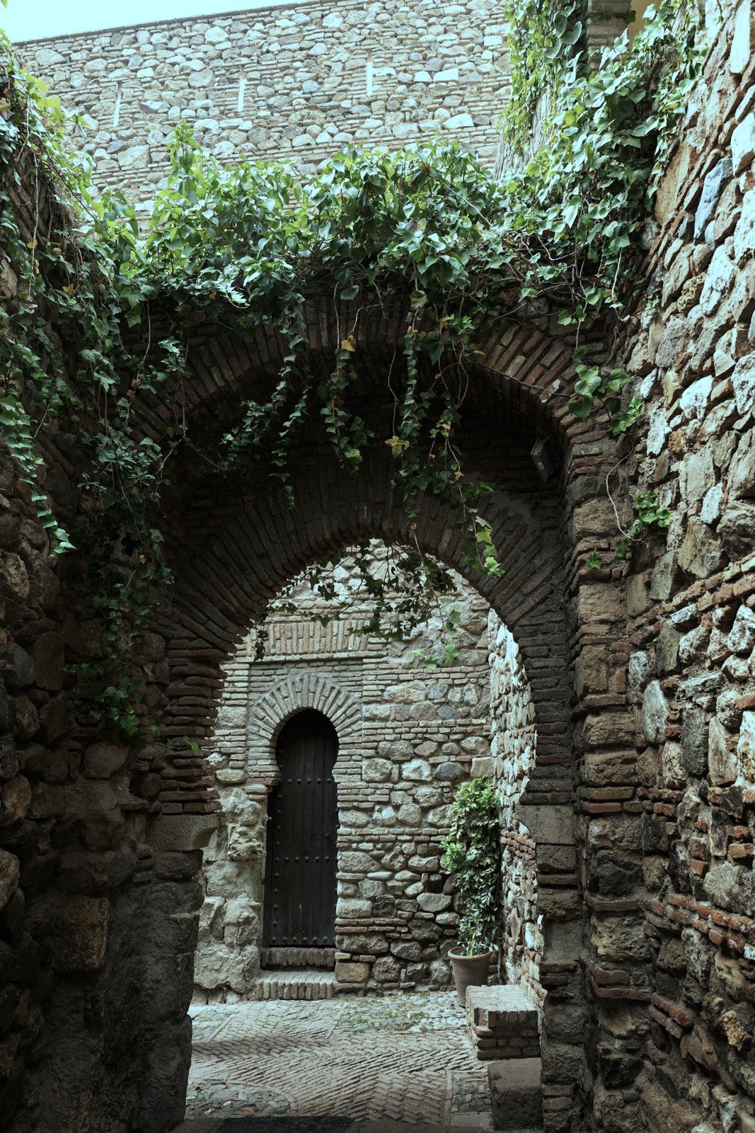 An ancient ivy-covered stone archway opening onto a hidden doorway